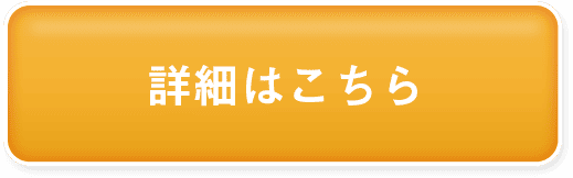 商品詳細はこちら